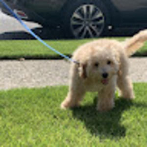 Meet your Posher, Leah